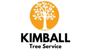Kimball Tree Service Bellevue Nebraska
