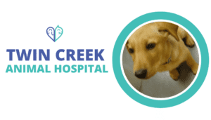 Twin Creek Animal Hospital Bellevue Nebraska
